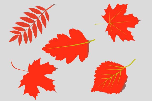 Review: About Autumn Leaves Watercolor Clipart for T-Shirt Designs